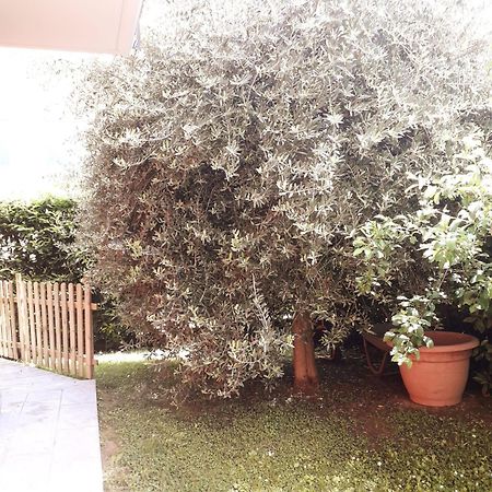 Beb Ulivo Bed & Breakfast Santa Giuletta Exterior photo